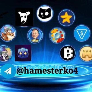 Telegram profile photo for Telegram Proxy & Airdrops