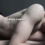 Telegram profile photo for запах гнили.