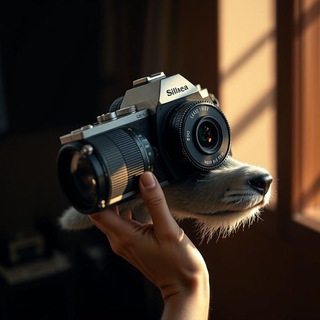 Telegram profile photo for Монтажный Батл: Путь в команду