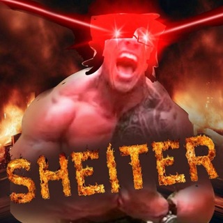 Telegram profile photo for SHELTERTME