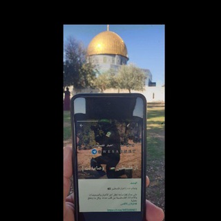 Telegram profile photo for وصاب نت 𓂆 أخبار فلسطين 🇵🇸