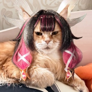 Telegram profile photo for Wig 💿 poxxei