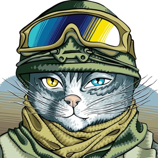 Telegram profile photo for Кiт Порох