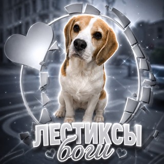 Telegram profile photo for лестиксы боги 🐶