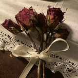 Telegram profile photo for آيـــة
