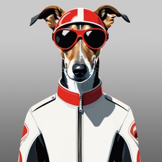 Telegram profile photo for Гонщая борзая | Dmitry Chirkin