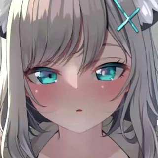Telegram profile photo for 海涛全防主频道