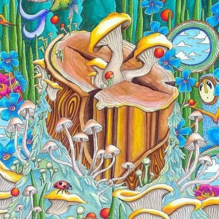 Telegram profile photo for Mushroomland