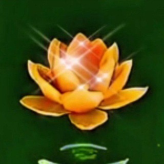 Telegram profile photo for 智慧良言群