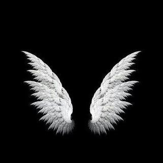 Telegram profile photo for عکس زندگی 🖤