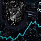 Telegram profile photo for БиржеВолки
