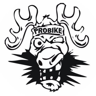Telegram group profile photo for ProBike ЧАТ ЗАКРЫТ
