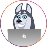 Telegram profile photo for SW_Ulan-Ude_LIVESTORE