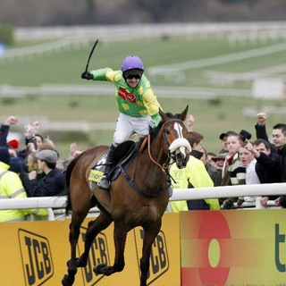 Telegram profile photo for Irish Betting Pro