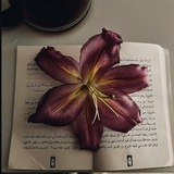 Telegram profile photo for ﴿ لَا تَدْرِي لَعَلَّ اللَّهَ يُحْدِثُ بَعْدَ ذَٰلِكَ أَمْرًا﴾.💛🌷