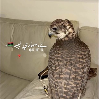 Telegram profile photo for ݺ،سهاري﮼ليبية 🇱🇾.
