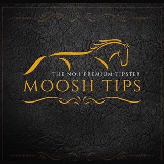 Telegram profile photo for The Official Moosh Tips Channel