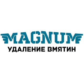 Telegram profile photo for MAGNUM | PDR