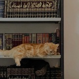 Telegram profile photo for ﴿وَاللَّهُ رَءُوفٌ رَّحِيمٌ﴾