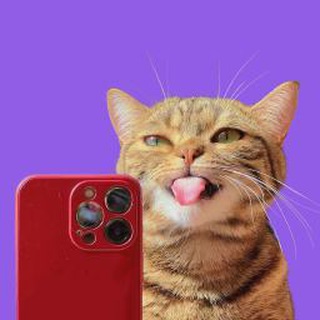 Telegram profile photo for Puzzy Channel