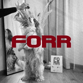 Telegram profile photo for FORR