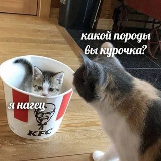 Telegram profile photo for Кукис Кукинг