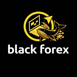 Telegram profile photo for ๐ Black Forex๐๐๐