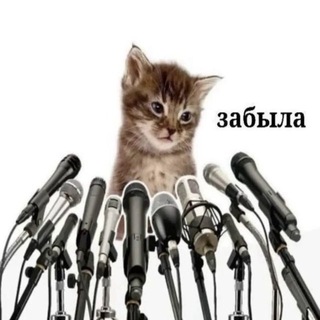 Telegram profile photo for анюта… где?😱