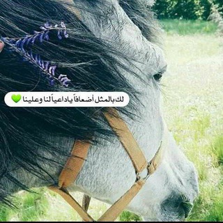 Telegram profile photo for غـَـيـمٌ وَمـَــطــر ❄️