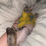 Telegram profile photo for апперкотики!