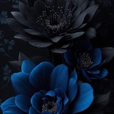 Telegram profile photo for بــوح