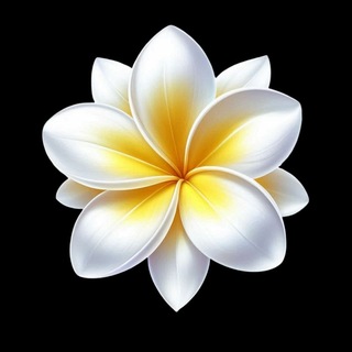 Telegram profile photo for 花间报告