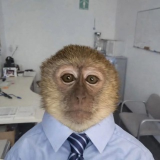 Telegram profile photo for Жопа 🫵🏿