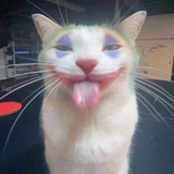 Telegram profile photo for Sun.