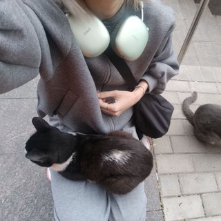 Telegram profile photo for Завод тотальной сваги😝