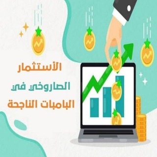 Telegram profile photo for الأستثمار الصاروخي في البامبات الناجحة 🇸🇦