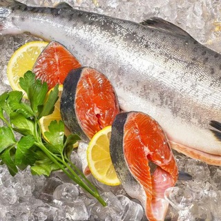 Telegram profile photo for 🐠 ECO&FISHING 🐠