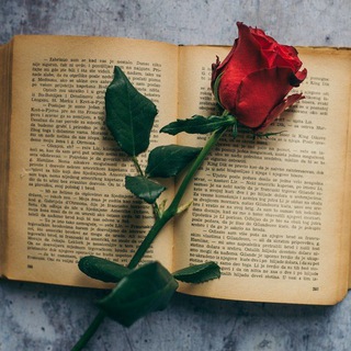 Telegram profile photo for 🇸𝐡𝐚𝐲𝐚𝐫𝐢 💕 🇱𝐨𝐯𝐞 💖 #NoUR