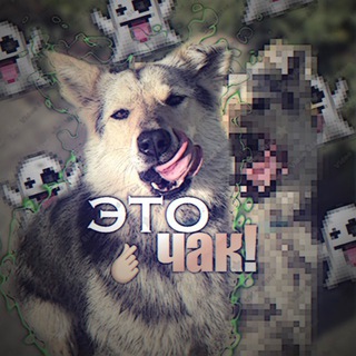 Telegram profile photo for Это - Чак!