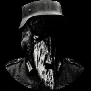 Telegram profile photo for danyaslimme ( Road to 6 figs )