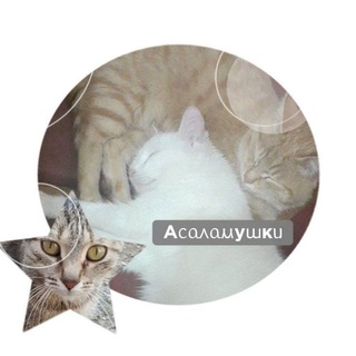 Telegram profile photo for ˖ ࣪⪩Аᥴᥲ᧘ᥲⲙуɯκᥙ⪨ ࣪˖
