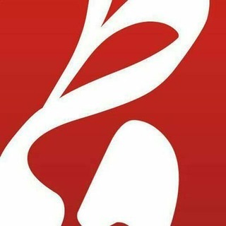 Telegram profile photo for محمد مهدی فاطمی صدر