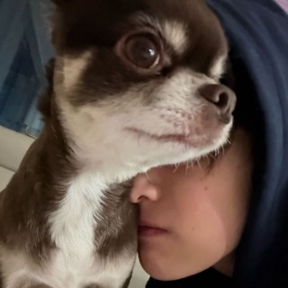 Telegram profile photo for Ahnkeonzo
