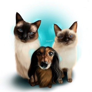 Telegram profile photo for Двое в лодке, не считая собаки