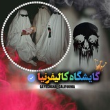 Telegram profile photo for گایگشاه کالیفرنیا