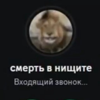 Telegram profile photo for LOP_FAN | Флудильня