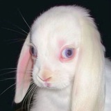 Telegram profile photo for Я УДАЛЯЮ ЯОЙ!😭👋