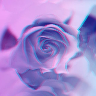 Telegram profile photo for Feet Milfs 🌹