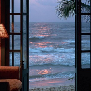Telegram profile photo for Paradise
