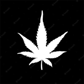 Telegram group profile photo for Secret Key 🌐